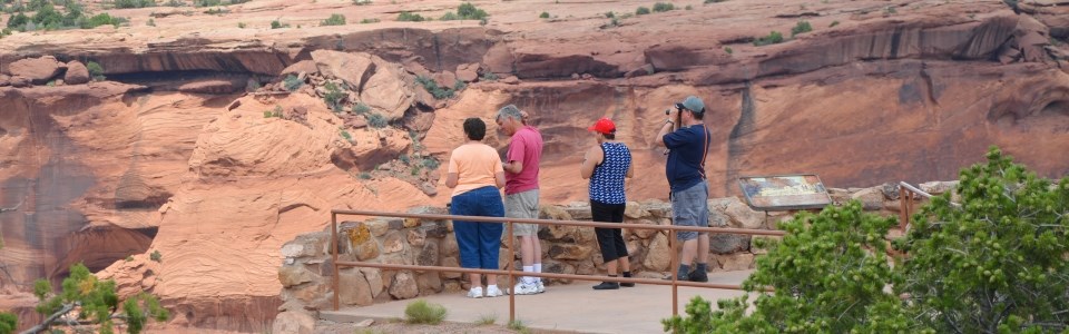 Viewing canyon from an overlook