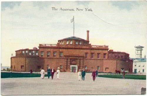 Postcard of Aquarium