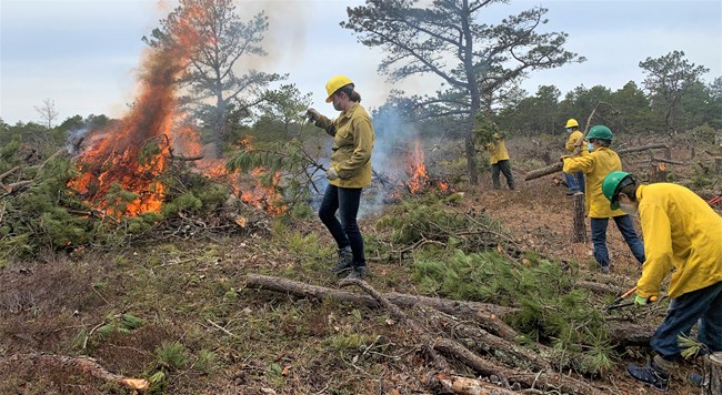 Volunteers dressed in yellow protective gear feed a fire with trimmed branches.