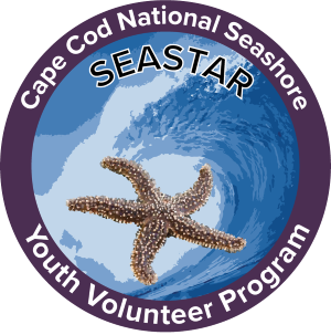 The SEASTAR Youth Volunteer Program logo. A purple circle contains the image of a crashing wave and a tan starfish.