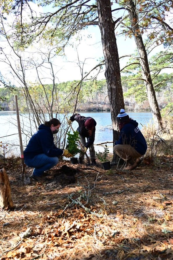 Several youth volunteers in navy blue sweatshirts are planting sapling trees in a lightly wooded area. They are near the shore of a body of water. The day is clear and sunny.