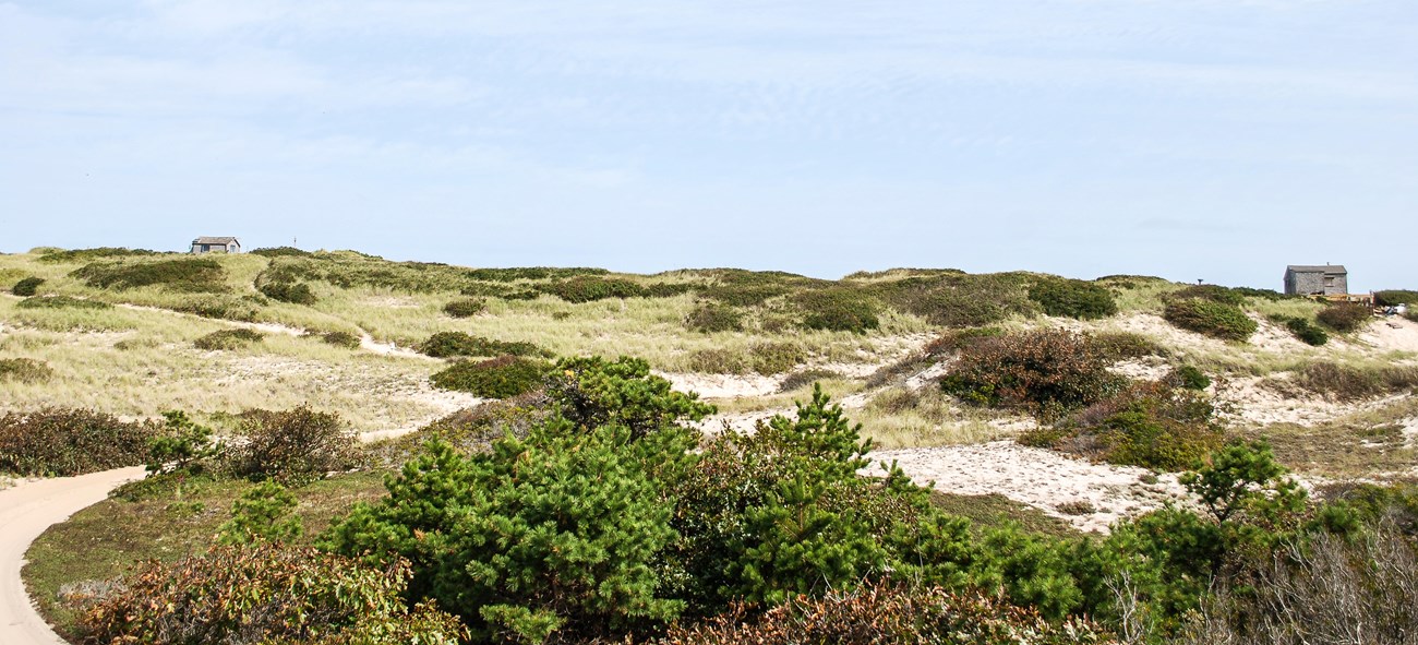Two dune shacks in the distance among hills of dunes and vegetation.
