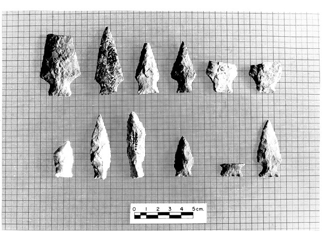12 arrowhead artifacts are shown in a black and white scan.