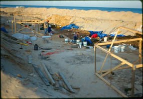 Carns Site, Coast Guard Beach, Eastham, 1990 Carns Site, Coast Guard Beach, Eastham, 1990