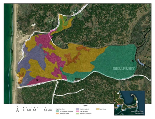A map shows an area of vegetation next to a beach highlighted in different colors corresponding to vegetation classes.