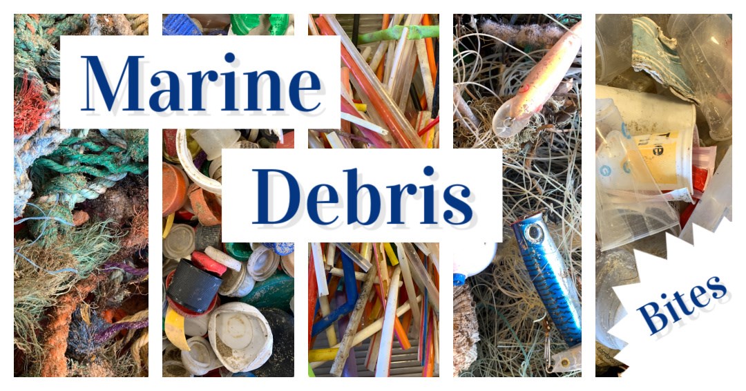 A graphic combines photos of different marine debris items and text on top of the images says, "Marine Debris Bites." There appears to be a bite taken out of the photo.