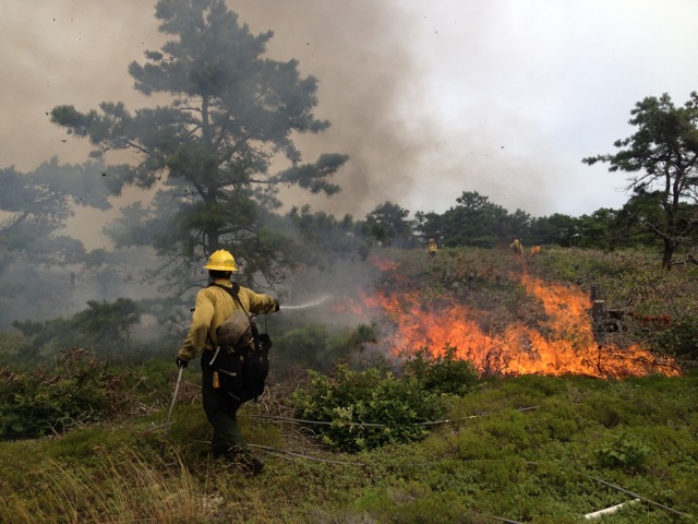 Prescribed Burn Prescribed Burn