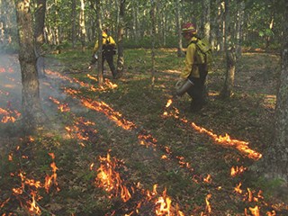 Two fire crew members wearing yellow clothing carry hand torches through an area with small ground fires.