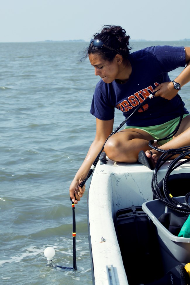 A woman sitting on a boat lowering a light sensor into the water. A woman sitting on a boat lowering a light sensor into the water.