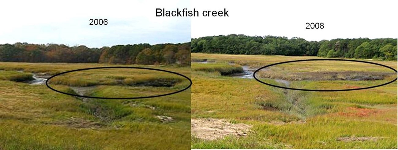 Blackfish creek, Wellfleet