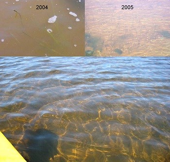 EH_water_clarity2_04-05 EH_water_clarity2_04-05