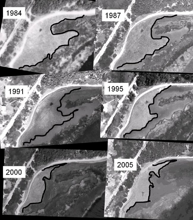 time series of high marsh retreat