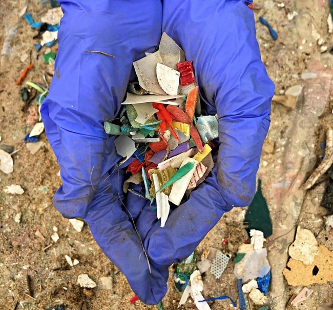 A person wearing blue gloves holds small, colorful pieces of plastic in their hands. More plastic can be seen on the ground.