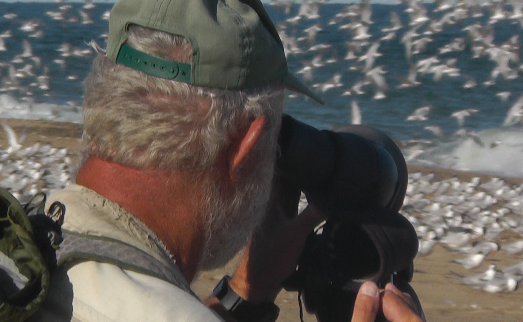 A man looks through a scope at birds on a beach. A man looks through a scope at birds on a beach.
