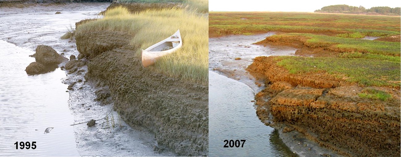 lack of recovery after 12 years