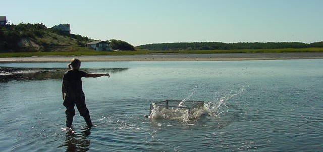 Nekton sampling