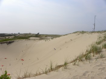 Dune Research