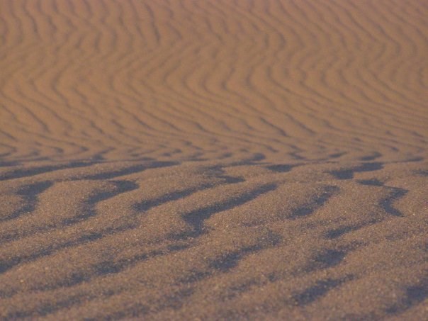 Sand Dunes of Provincetown