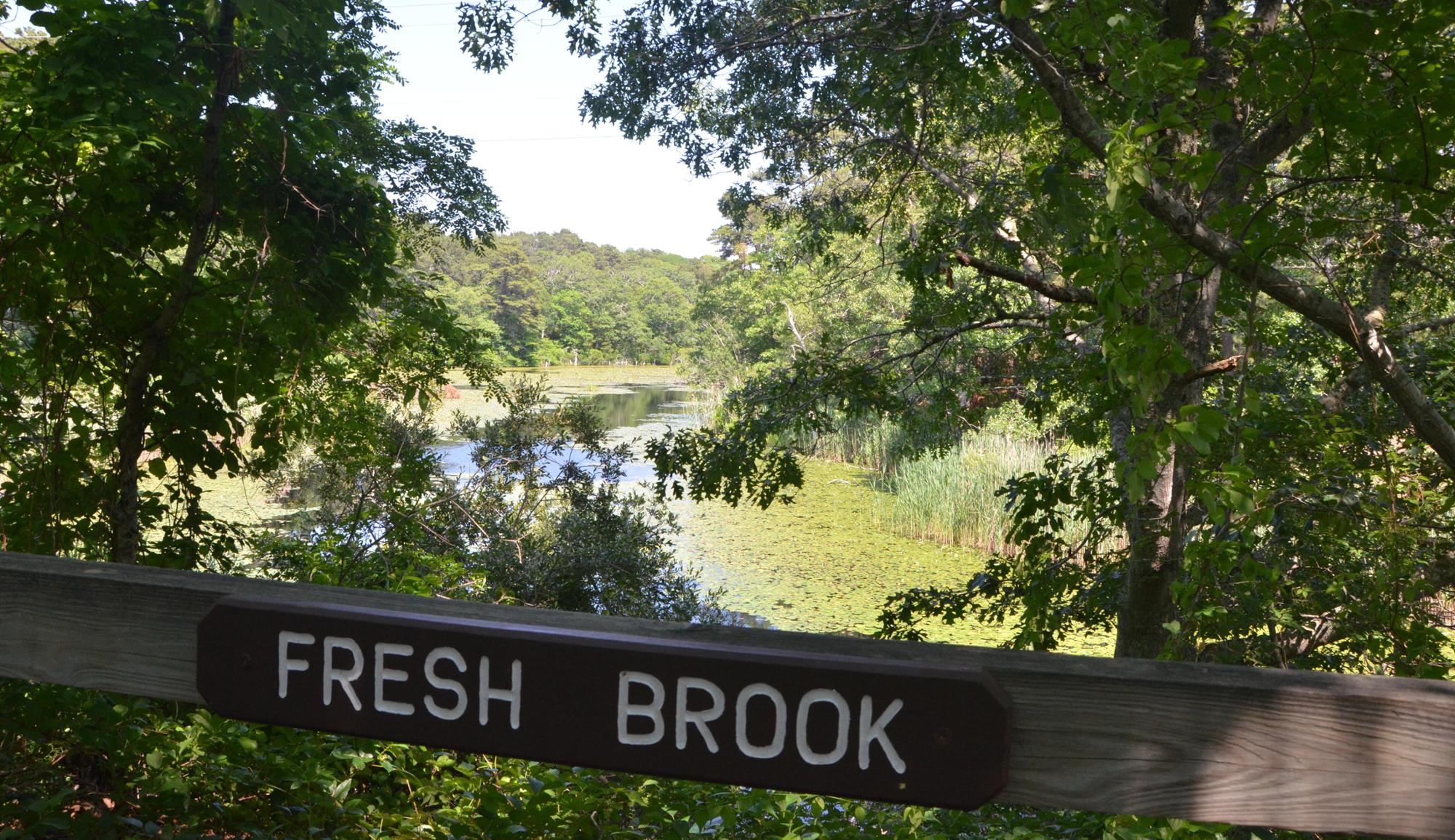 Sign reads, "Fresh Brook" with greenery looking out to a ponded area from a raised deck.