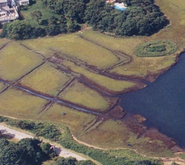 Aerial view of Saquatucket Harbor with missing vegetation around the creekbanks.