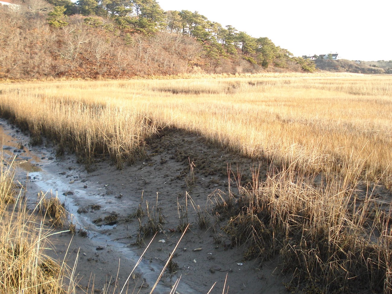 lost chunk of marsh in Chatham