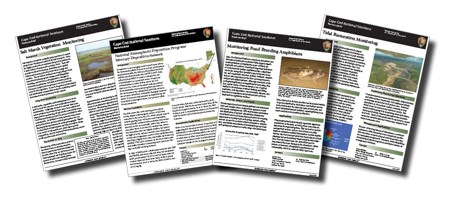 resource brief thumbnails resource brief thumbnails