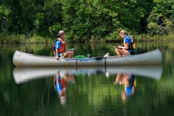 Water quality data collection