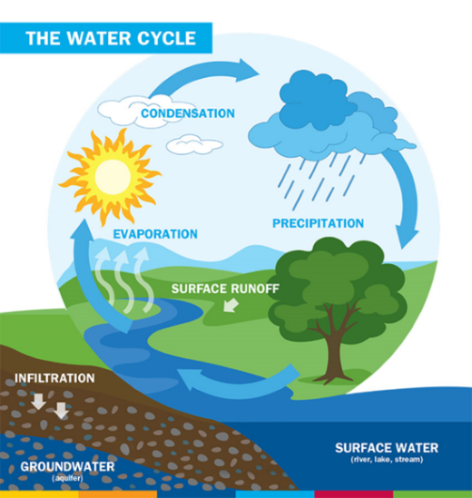 A diagram of the water cycle depicting evaporation, condensation, surface runoff, surface water, infiltration, and groundwater, all connected by arrows going in a circular motion.