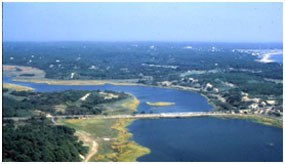 Herring River, Wellfleet Herring River, Wellfleet