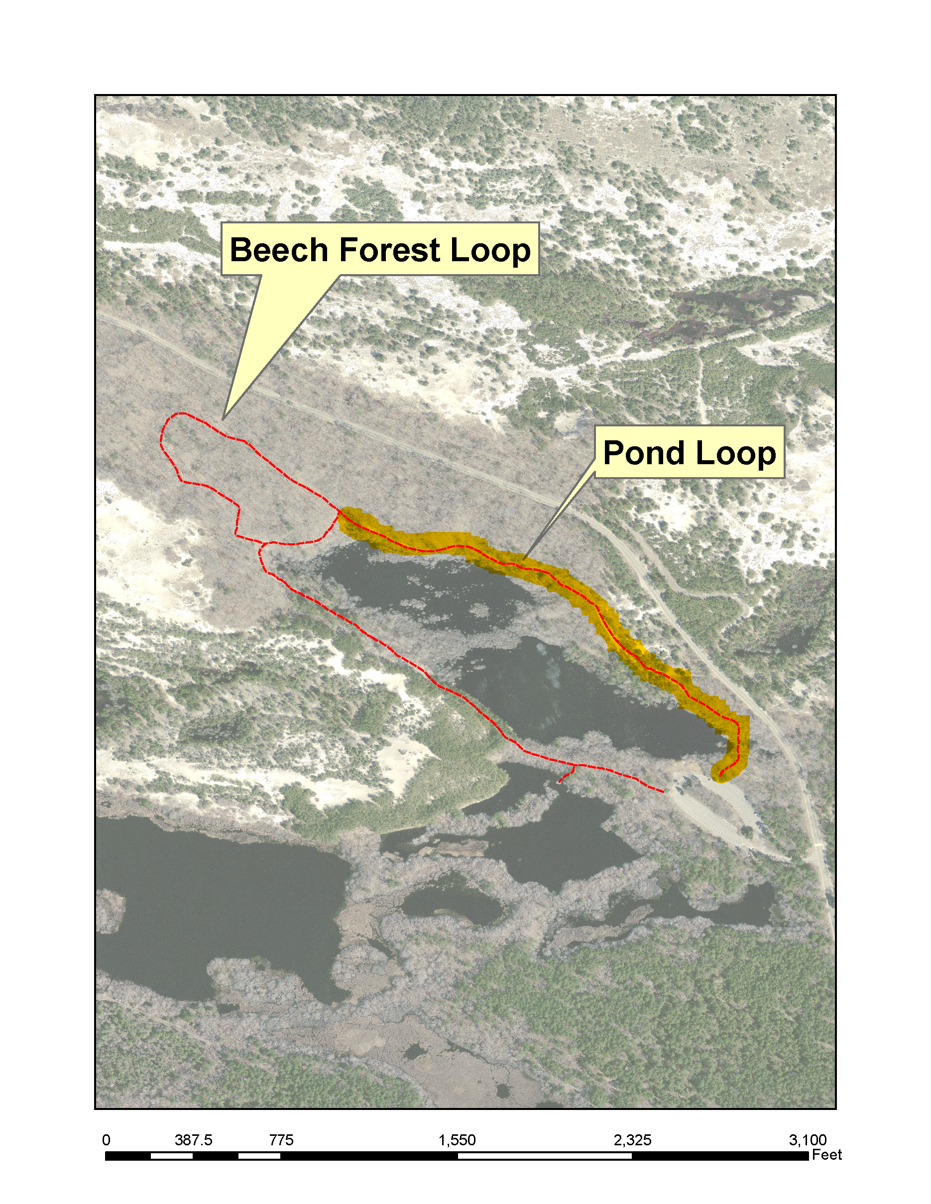 Beech Forest Trail Map with closure