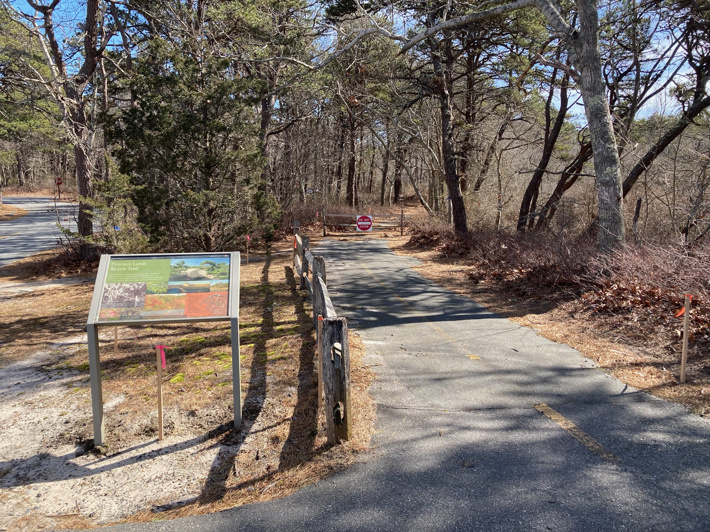 Beech Forest bike path