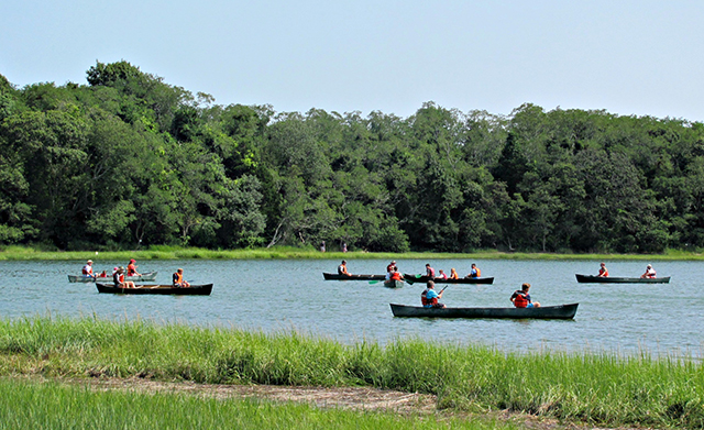 Several canoes paddle across a gentle pond under a blue sky.