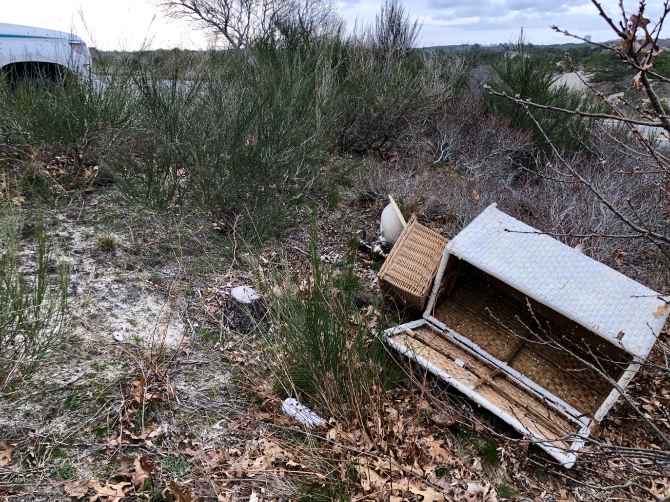 Image of furniture dumped in a vegetated area of dune