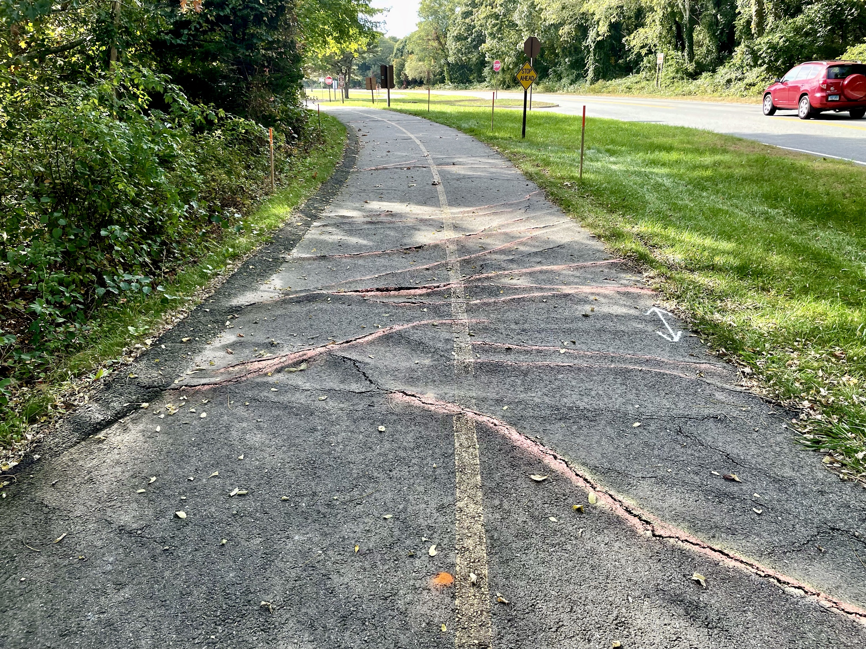Nauset Bike Path Repairs Image of cracked Nauset bike path surrounded by greenery.