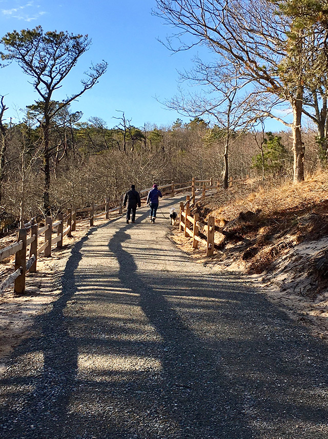 Two people walk uip a dirt path around the side of a hill in a wooded area.
