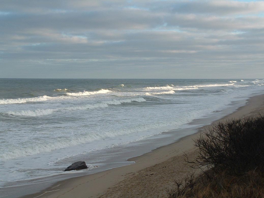 Coast Guard Beach by Robby McQueeney