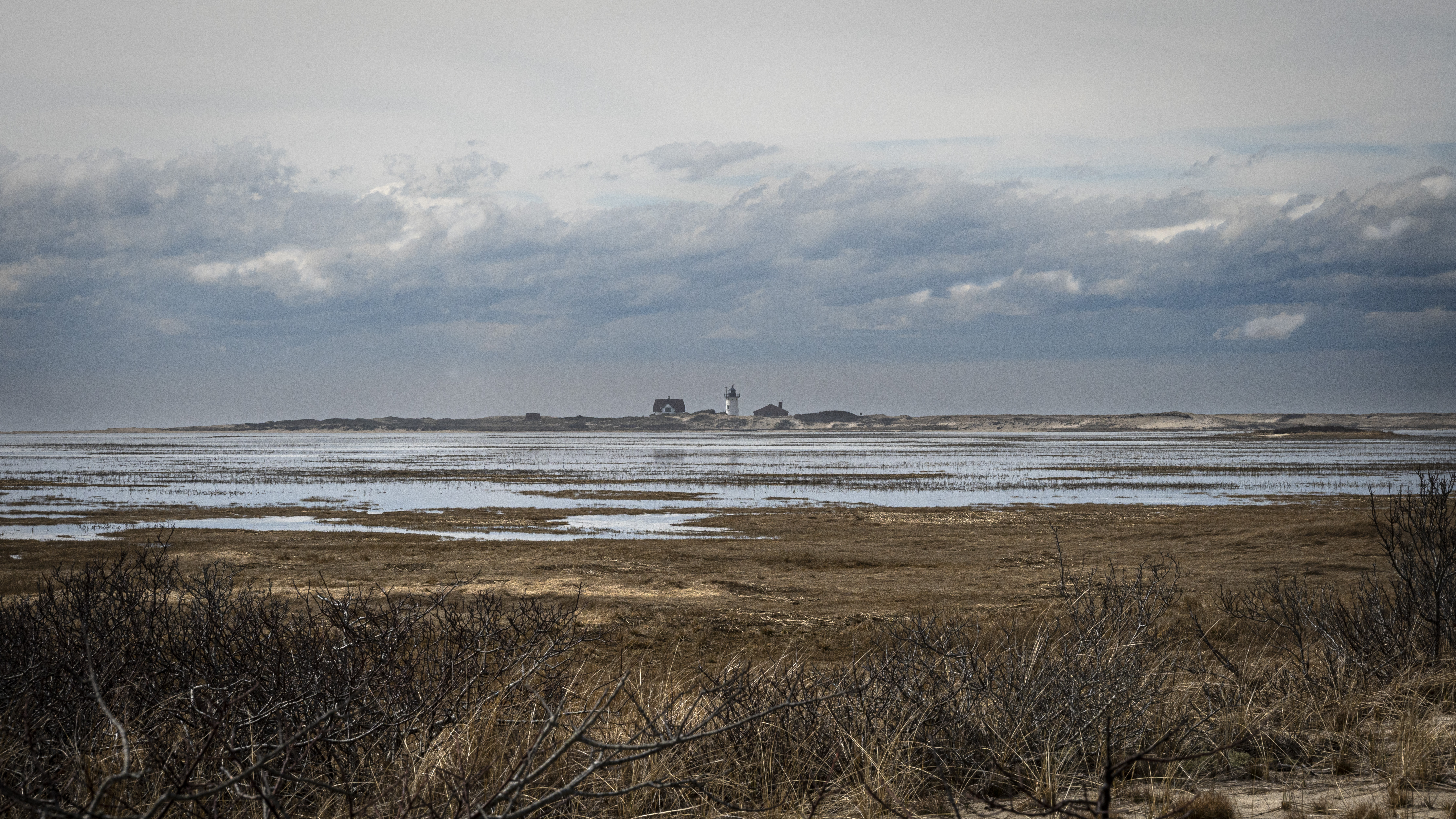 Race Point Light View of a marshy area with a lighthouse and keepers house in the distance. Gray, cloudy skies overhead.