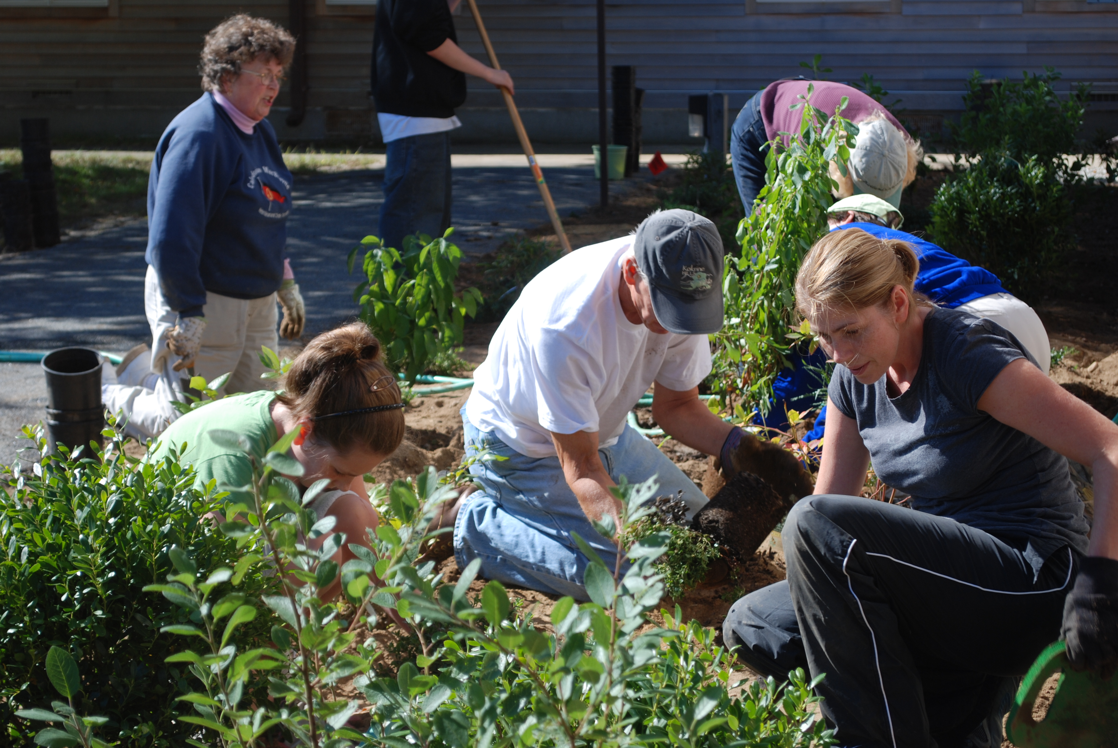 People work in a garden