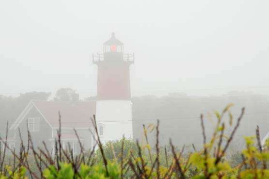 Nauset Light by Amber Jane Barricman