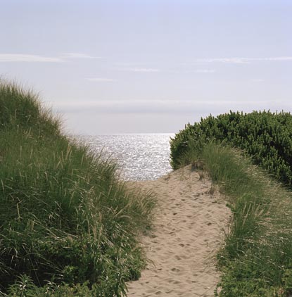 Philip Keohan Dune Path