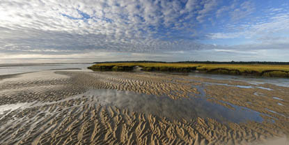 Ronald Wilson, Coast Guard Beach