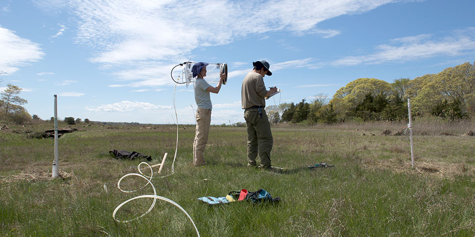 two scientists monitoring in the field two scientists monitoring in the field