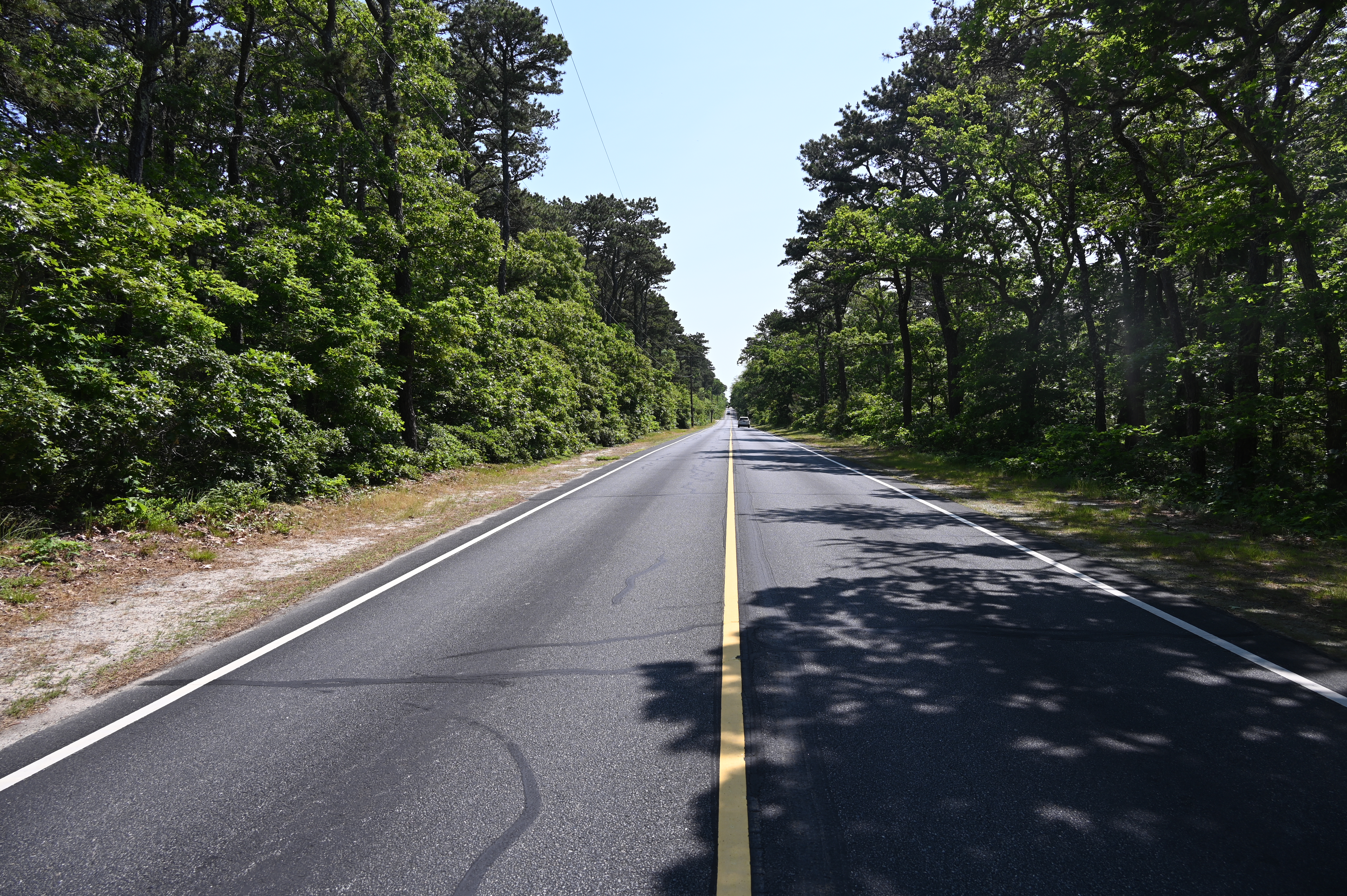 Long road with yellow line down the middle. Vegetation on both sides of the road.