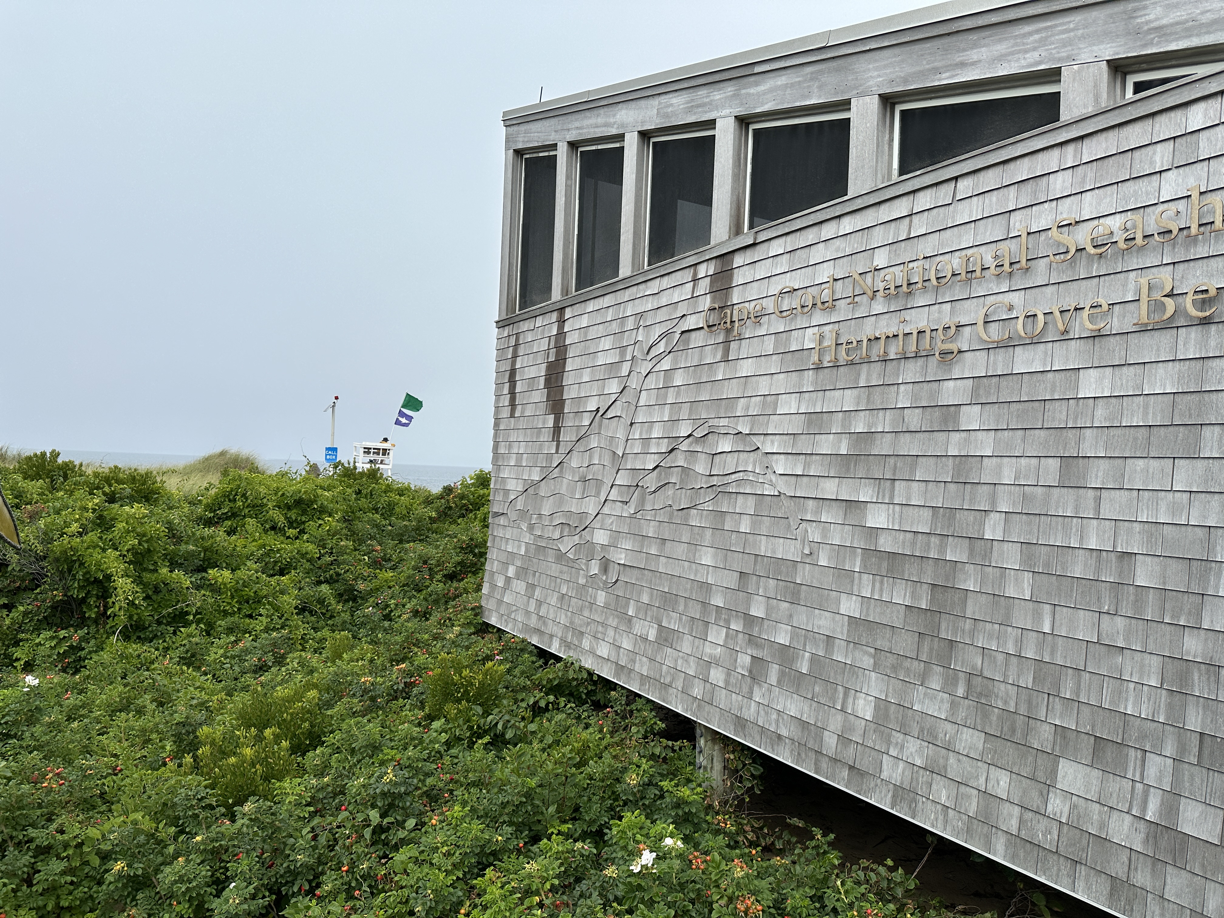 herring cove