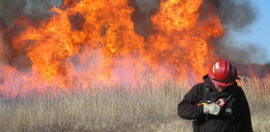 A prescribed burn