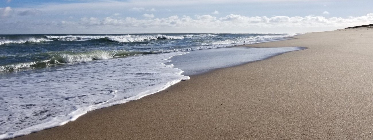 Waves on the beach