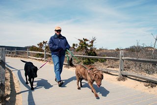 A woman walks two dogs down a boardwalk over a sandy area. A woman walks two dogs down a boardwalk over a sandy area.