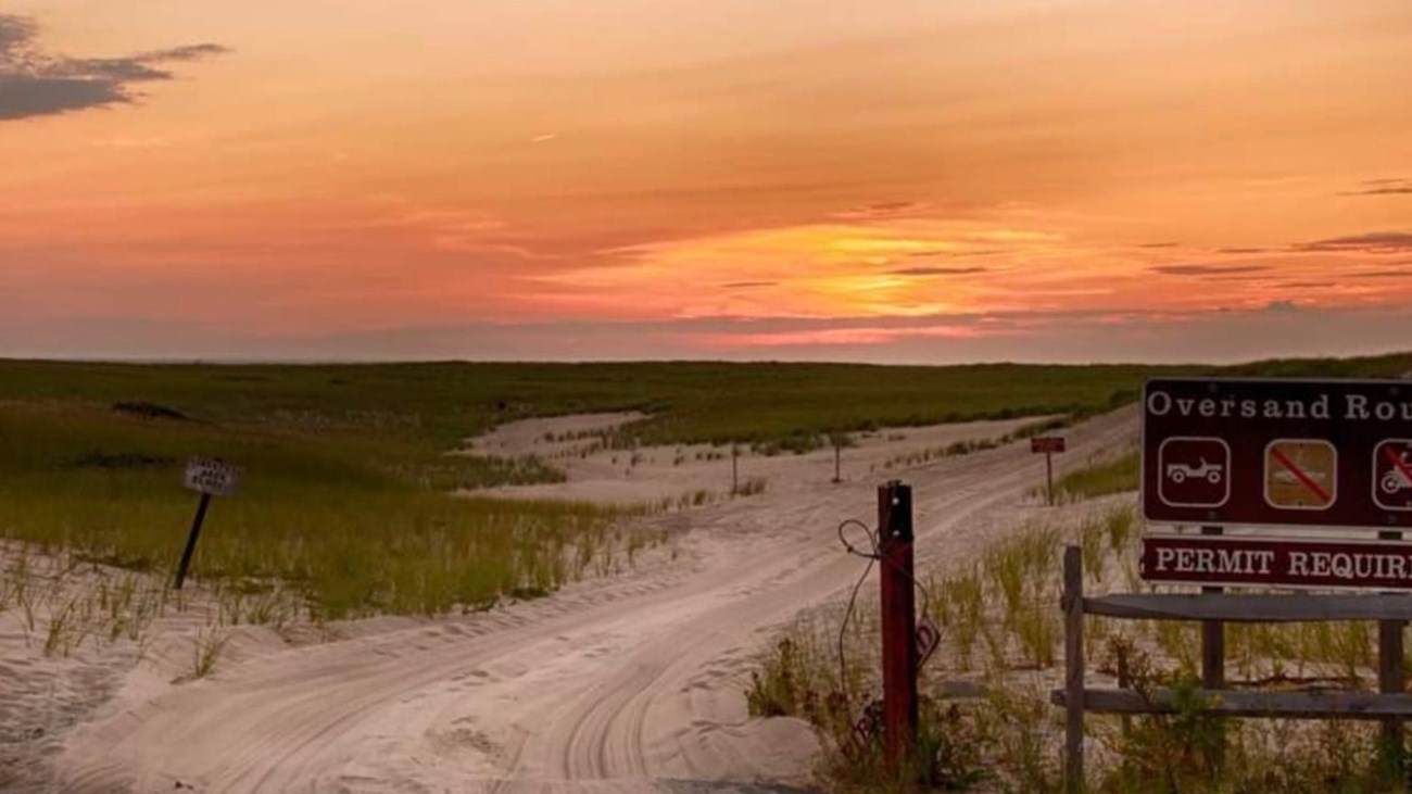 Image of the sunset along the dunes leading out the ORV corridor at the ORV Permit Office in Race Point.