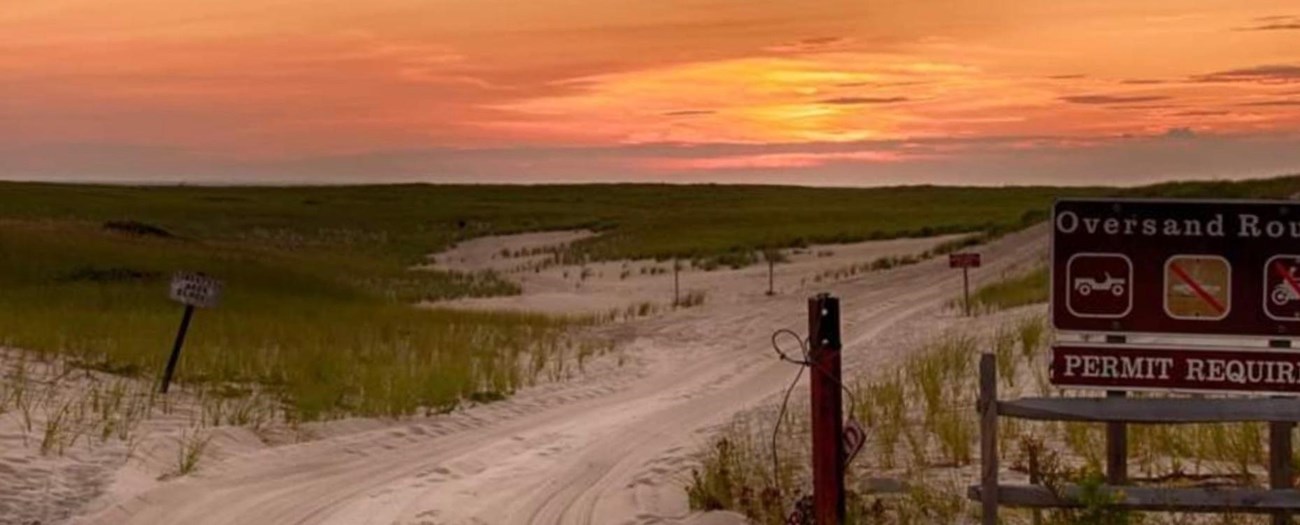 Image of the sunset along the dunes leading out the ORV corridor at the ORV Permit Office in Race Point.