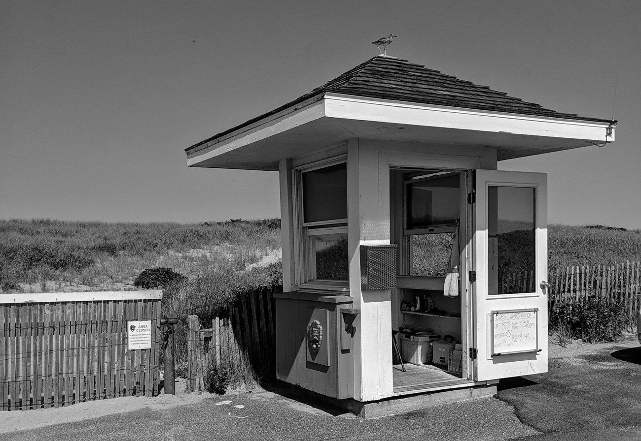 Fee booth in black and white. A bird sits perched on top of the booth.